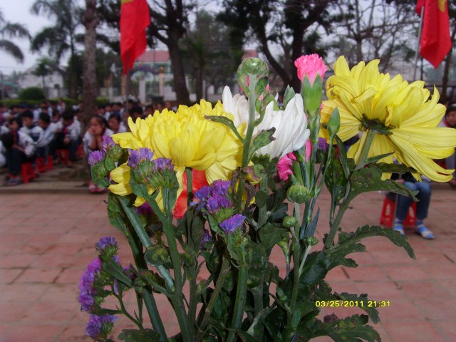 Trường THCS Diễn Hồng